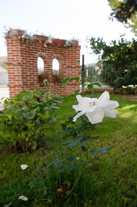 Rose E Merletti Guest House Sasso Feltrio Exterior photo